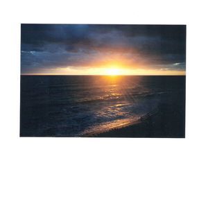 Meet your Posher, Vicki